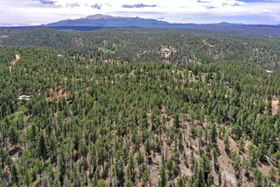 293 Badger Trail, Florissant, CO 80816 - Photo 21
