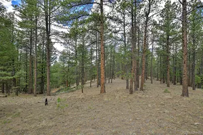 293 Badger Trail, Florissant, CO 80816 - Photo 13