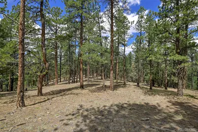 293 Badger Trail, Florissant, CO 80816 - Photo 3