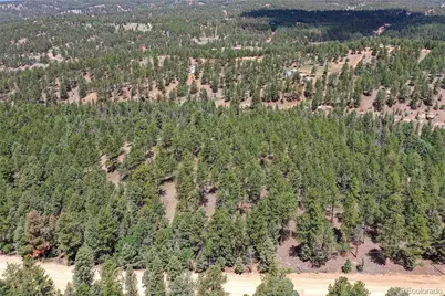 293 Badger Trail, Florissant, CO 80816 - Photo 15