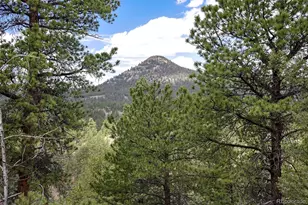 293 Badger Trail, Florissant, CO 80816 - Photo 1