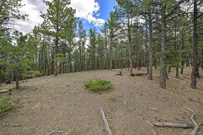 293 Badger Trail, Florissant, CO 80816 - Photo 11