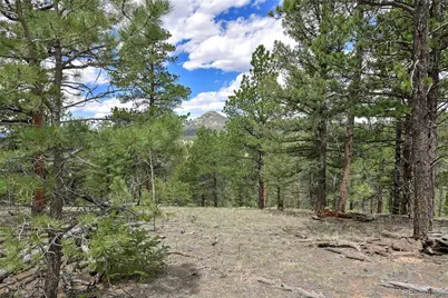 293 Badger Trail, Florissant, CO 80816 - Photo 9