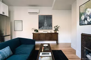 1763 N Williams St, Denver, CO 80218 - Photo 13