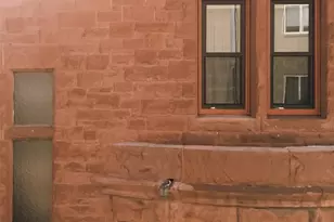 1763 N Williams St, Denver, CO 80218 - Photo 31