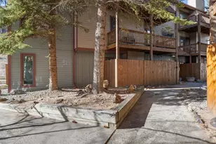 1890 Argentine St, Georgetown, CO 80444 - Photo 3