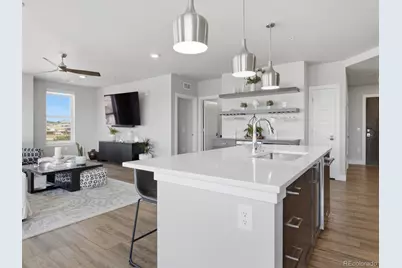 20 Wilcox Street #502, Castle Rock, CO 80104 - Photo 11