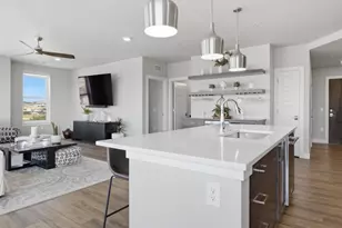 20 Wilcox Street, Castle Rock, CO 80104 - Photo 11