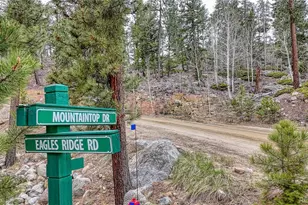 30176 Mountaintop Dr, Buena Vista, CO 81211 - Photo 1