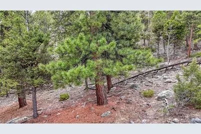 30176 Mountaintop Drive, Buena Vista, CO 81211 - Photo 27