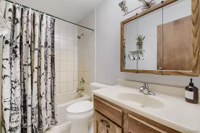 2008 Virginia Canyon Road, Idaho Springs, CO 80452 - Photo 15