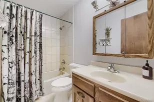 2008 Virginia Canyon Rd, Idaho Springs, CO 80452 - Photo 15
