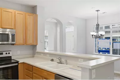 1325 Carlyle Park Circle, Highlands Ranch, CO 80129 - Photo 11