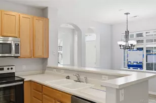 1325 Carlyle Park Cir, Highlands Ranch, CO 80129 - Photo 11