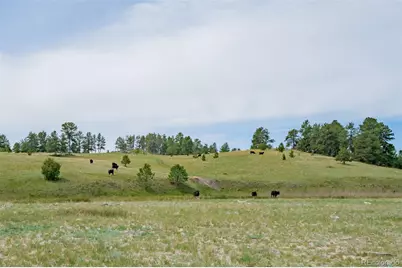 12400 County Road 102, Elbert, CO 80106 - Photo 37