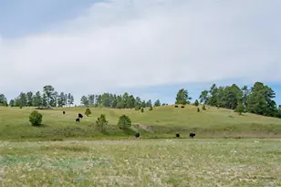 12400 Co Rd 102, Elbert, CO 80106 - Photo 37