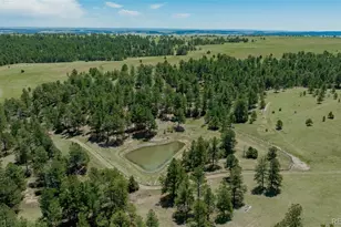 12400 Co Rd 102, Elbert, CO 80106 - Photo 41