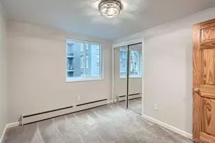 336 N Grant St, Denver, CO 80203 - Photo 23