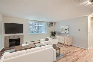 336 N Grant St, Denver, CO 80203 - Photo 7