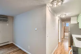 336 N Grant St, Denver, CO 80203 - Photo 11