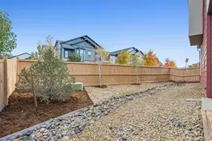 4241 Coriander St, Castle Rock, CO 80109 - Photo 19