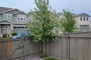 3192 Greenery Dr., Castle Rock, CO 80109 - Photo 41