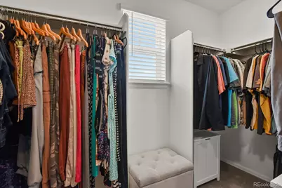 3192 Greenery Drive, Castle Rock, CO 80109 - Photo 29