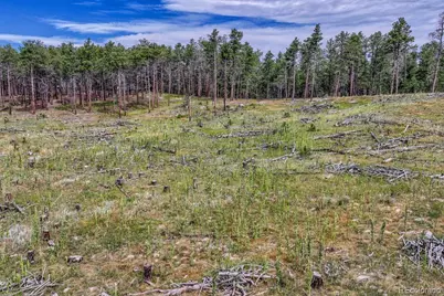 01 Wyandott, Colorado Springs, CO 80908 - Photo 49