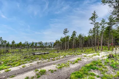 01 Wyandott, Colorado Springs, CO 80908 - Photo 9