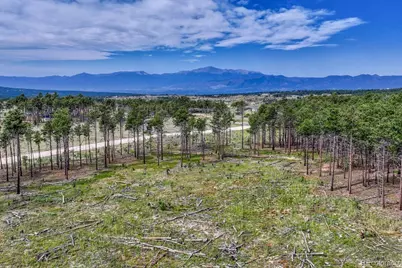 01 Wyandott, Colorado Springs, CO 80908 - Photo 41