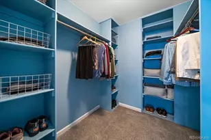 11236 Wintergreen Dr, Parker, CO 80138 - Photo 25