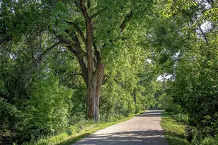 1885 S Quebec Way, Denver, CO 80231 - Photo 45