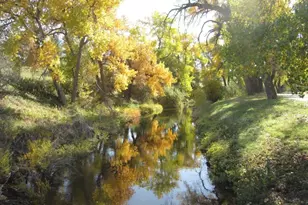 1885 S Quebec Way, Denver, CO 80231 - Photo 43