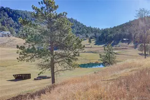 28555 Memorial Park Way, Conifer, CO 80433 - Photo 15