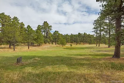 13354 N Meridian Road, Elbert, CO 80106 - Photo 25