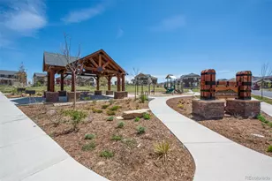 1016 Sugarloaf Ln, Erie, CO 80516 - Photo 21