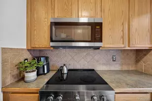 733 E 2nd Ave, Denver, CO 80203 - Photo 15