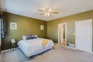 163 Sabin Way, Lochbuie, CO 80603 - Photo 11
