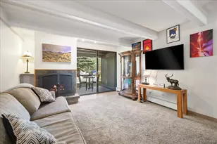 220 E La Bonte Street, Dillon, CO 80435 - Photo 5