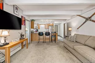 220 E La Bonte Street, Dillon, CO 80435 - Photo 3