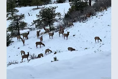 92 Bear Trax, Canon City, CO 81212 - Photo 45