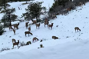 92 Bear Trax, Canon City, CO 81212 - Photo 45