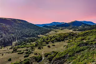 92 Bear Trax, Canon City, CO 81212 - Photo 43