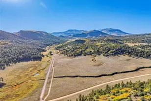 92 Bear Trax, Canon City, CO 81212 - Photo 37