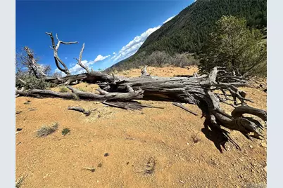 92 Bear Trax, Canon City, CO 81212 - Photo 17