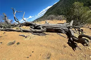 92 Bear Trax, Canon City, CO 81212 - Photo 17
