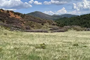 92 Bear Trax, Canon City, CO 81212 - Photo 13