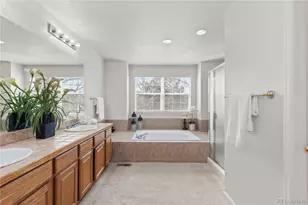 8316 Briar Ridge Dr, Castle Pines, CO 80108 - Photo 33