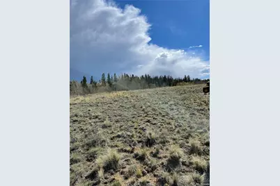 252 Albino Road, Jefferson, CO 80456 - Photo 5