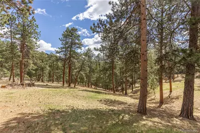 302 Cottonwood Drive, Evergreen, CO 80439 - Photo 41